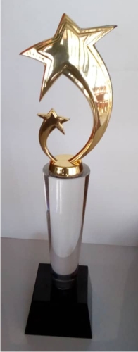star-award-plaque-with-black-base-for-sale-online-in-abuja-lagos-nigeria.jpg