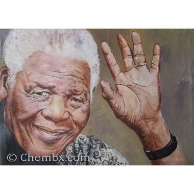 Painted Artwork from Picture done in Lagos State Nigeria