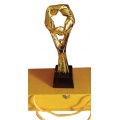 Excellent quality Golden color awards